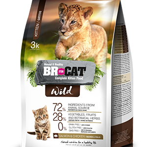 Alimento para gato BR Wild Complete kitten